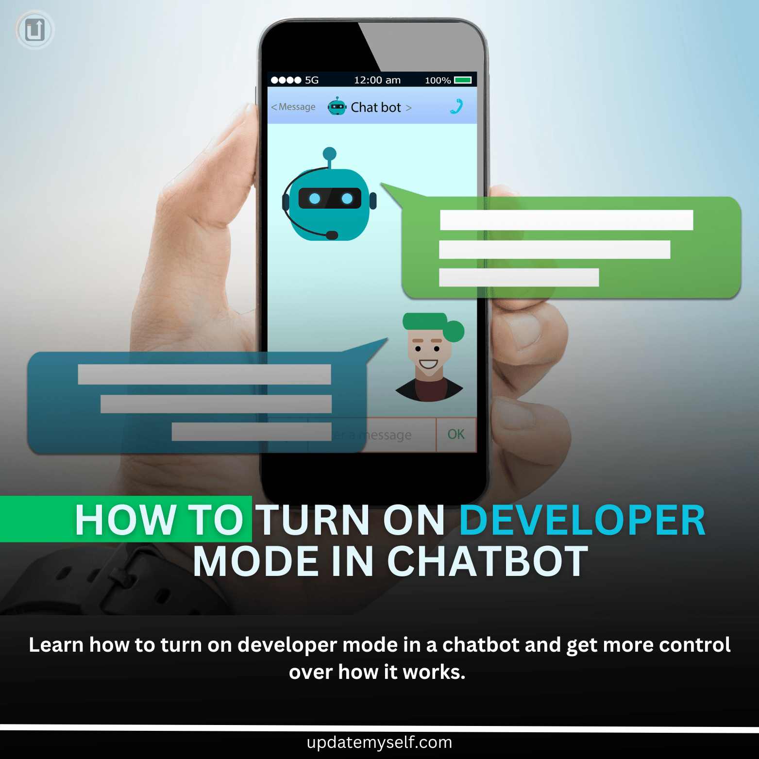 How to turn on developer mode in Chatbot
